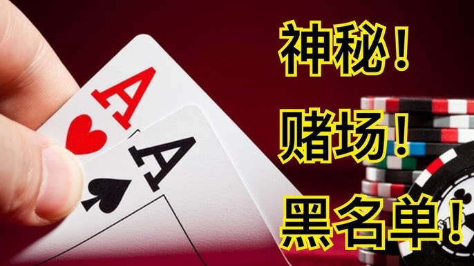 龙虎斗稳赢打法从入门到实战：深度解析与策略指导-足球比赛在线-足球比分网-足球论坛